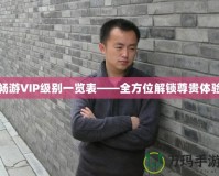 暢游VIP級(jí)別一覽表——全方位解鎖尊貴體驗(yàn)