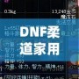 DNF柔道家用什么武器PK最強？掌握這些，你也能成為戰(zhàn)場王者！