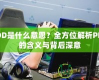 PDD是什么意思？全方位解析PDD的含義與背后深意