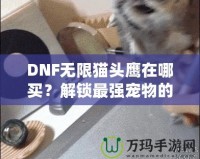 DNF無(wú)限貓頭鷹在哪買？解鎖最強(qiáng)寵物的購(gòu)買途徑與技巧！