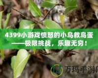 4399小游戲憤怒的小鳥救鳥蛋——極限挑戰(zhàn)，樂趣無窮！