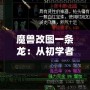 魔獸改圖一條龍：從初學(xué)者到高手，打造專(zhuān)屬于你的魔獸世界