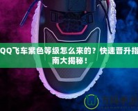 QQ飛車紫色等級怎么來的？快速晉升指南大揭秘！