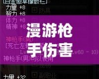 漫游槍手傷害高嗎？深入分析《游戲名字》中的職業(yè)定位與玩法優(yōu)勢