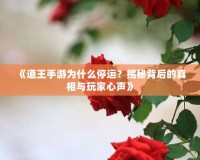 《道王手游為什么停運？揭秘背后的真相與玩家心聲》