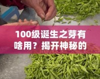 100級誕生之芽有啥用？揭開神秘的面紗，探索無限可能！