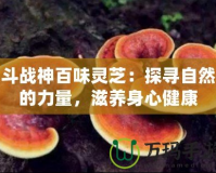 斗戰(zhàn)神百味靈芝：探尋自然的力量，滋養(yǎng)身心健康