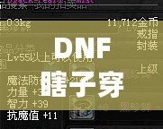 DNF瞎子穿什么甲？讓你秒變無(wú)敵的裝備選擇解析！