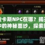 卡拉卡斯NPC在哪？揭開游戲中的神秘面紗，探索隱藏任務(wù)與寶藏