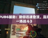 《PUBG輔助：助你迅速登頂，贏得每一場戰(zhàn)斗》