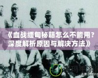 《血戰(zhàn)緬甸秘籍怎么不能用？深度解析原因與解決方法》