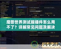 魔獸世界測試服插件怎么用不了？詳解常見問題及解決方案