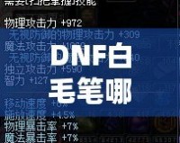 DNF白毛筆哪里爆？全面解析獲取途徑與策略