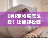 DNF寵物蛋怎么賣(mài)？讓你輕松賺取豐厚收益的實(shí)用技巧