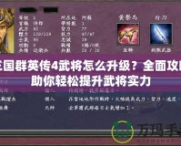 三國群英傳4武將怎么升級？全面攻略助你輕松提升武將實(shí)力