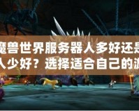 魔獸世界服務(wù)器人多好還是人少好？選擇適合自己的游戲體驗