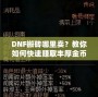 DNF搬磚哪里賣？教你如何快速賺取豐厚金幣，輕松變身游戲大佬！