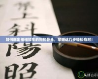 如何畫(huà)出栩栩如生的狗和骨頭，掌握這幾步輕松應(yīng)對(duì)！