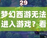 夢(mèng)幻西游無法進(jìn)入游戲？看這里，解決方案一網(wǎng)打盡！