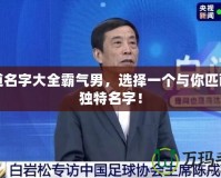 問道名字大全霸氣男，選擇一個與你匹配的獨特名字！