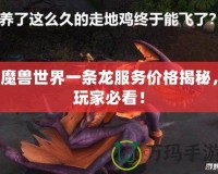 魔獸世界一條龍服務價格揭秘，玩家必看！