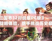 《三國(guó)志12對(duì)戰(zhàn)版PC版》——全新戰(zhàn)略體驗(yàn)，攜手挑戰(zhàn)歷史巔峰