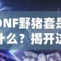 DNF野豬套是什么？揭開這套裝備的神秘面紗，助你征戰(zhàn)地下城！