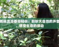 雨林流淚番茄暢聽：聆聽大自然的聲音，感受生命的律動(dòng)