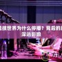 電子競技世界為什么停播？背后的原因與深遠影響