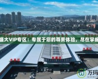 盛大VIP專區(qū)：專屬于您的尊貴體驗，盡在掌握