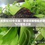 飛龍模擬3D中文版：帶你領(lǐng)略驚險(xiǎn)刺激的飛行冒險(xiǎn)之旅