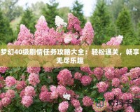 夢幻40級劇情任務(wù)攻略大全：輕松通關(guān)，暢享無盡樂趣