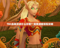 TBC血精靈騎什么好看？完美騎寵搭配攻略