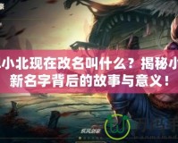 lol小北現(xiàn)在改名叫什么？揭秘小北新名字背后的故事與意義！