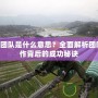 TFT團隊是什么意思？全面解析團隊合作背后的成功秘訣