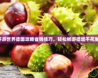 暖暖環(huán)游世界德國攻略省錢技巧，輕松暢游德國不花冤枉錢！