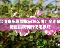 極品飛車配置提取碼怎么用？全面解讀配置提取碼的使用技巧