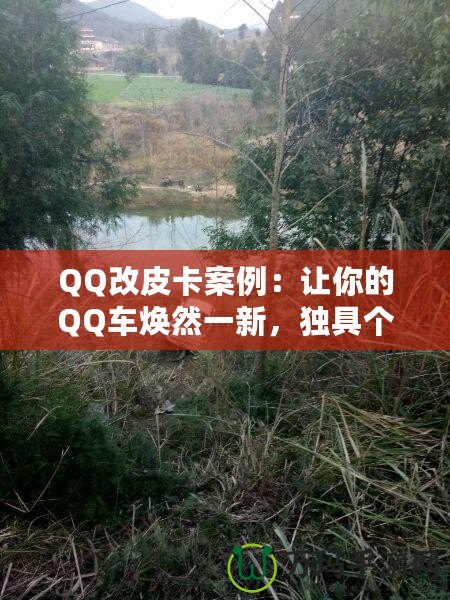 QQ改皮卡案例：讓你的QQ車煥然一新，獨具個性！