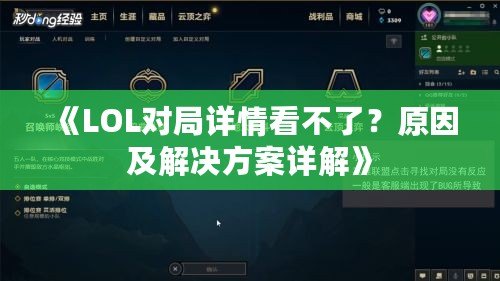 《LOL對局詳情看不了？原因及解決方案詳解》