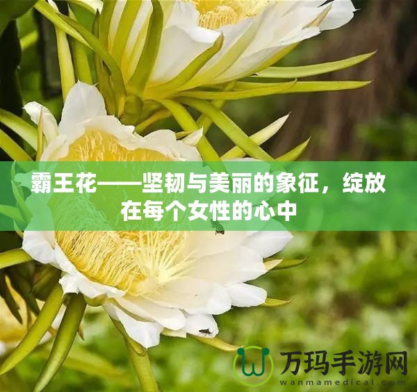 霸王花——堅韌與美麗的象征，綻放在每個女性的心中