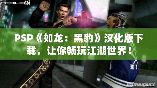 PSP《如龍：黑豹》漢化版下載，讓你暢玩江湖世界！