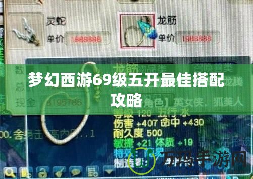 夢幻西游69級五開最佳搭配攻略