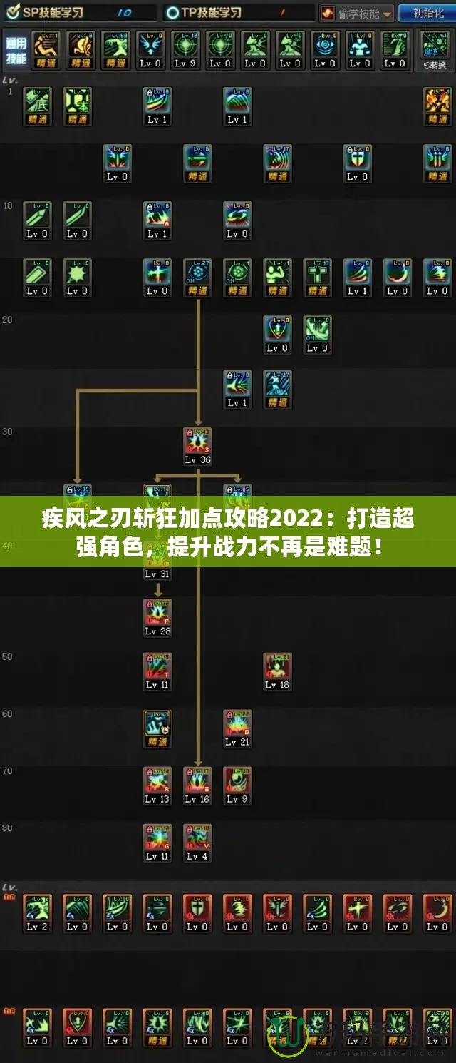 疾風(fēng)之刃斬狂加點(diǎn)攻略2022：打造超強(qiáng)角色，提升戰(zhàn)力不再是難題！