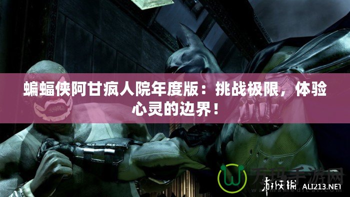 蝙蝠俠阿甘瘋人院年度版：挑戰(zhàn)極限，體驗心靈的邊界！