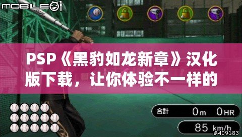 PSP《黑豹如龍新章》漢化版下載，讓你體驗(yàn)不一樣的江湖風(fēng)云！