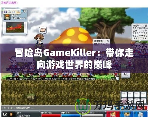 冒險(xiǎn)島GameKiller：帶你走向游戲世界的巔峰