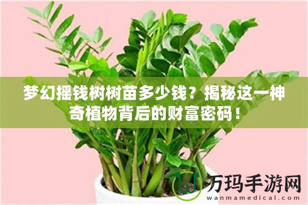 夢幻搖錢樹樹苗多少錢？揭秘這一神奇植物背后的財富密碼！