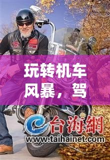 玩轉(zhuǎn)機(jī)車風(fēng)暴，駕馭速度與激情——PSV機(jī)車風(fēng)暴中文全解析