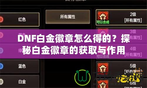 DNF白金徽章怎么得的？探秘白金徽章的獲取與作用