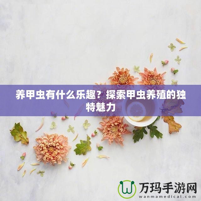 養(yǎng)甲蟲有什么樂趣？探索甲蟲養(yǎng)殖的獨(dú)特魅力